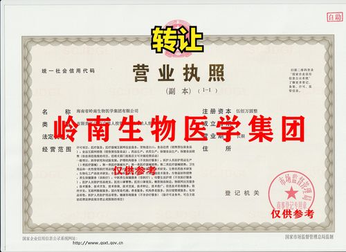 岭南速度 从工商特批到医疗用品专营的跃迁之路